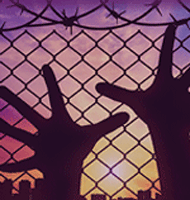 BCS Hands